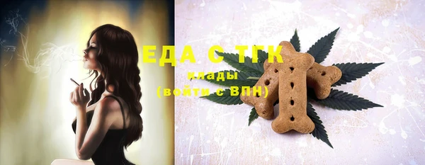 шишки Горняк