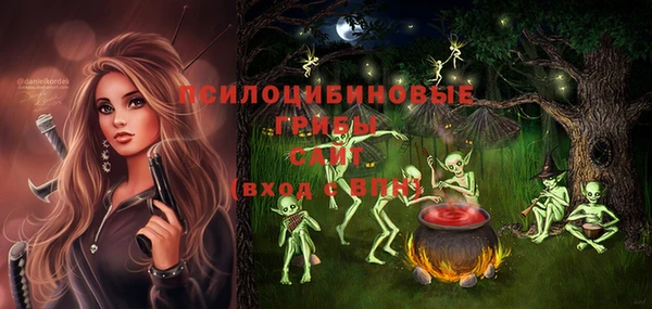 эйфоретик Белокуриха