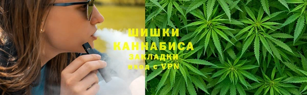 spice Богородск