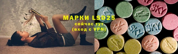 ПСИЛОЦИБИНОВЫЕ ГРИБЫ Беломорск